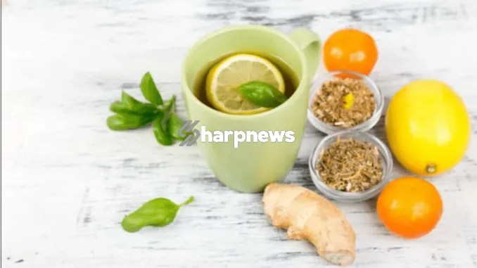 3 Effective Ways To Treat Indigestion At Home With Herbs