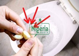 These What Will Happen To Your Toilet If You Drop One Piece Of Garlic At Night
