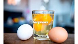 JUST IN: Drink Raw Egg Everyday And This Will Happen To Your Body