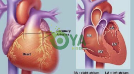BREAKING: If Your Heart Is In Danger Your Body Will Give You These 11 Signs