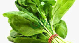 BREAKING: When You Eat Spinach Every Day This Is What Will Happen To Your body