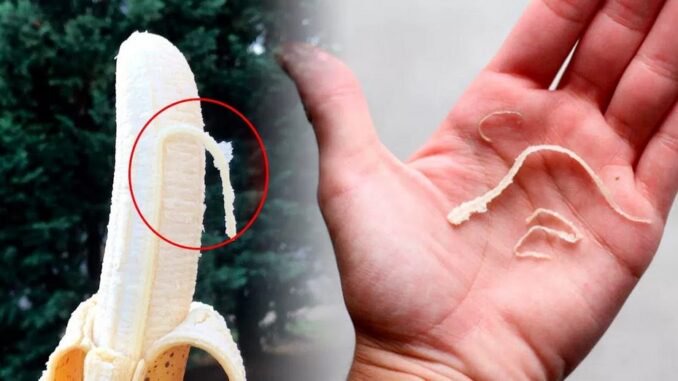 Reason Why You Should Always Eat Those Weird Strings on Your Banana!