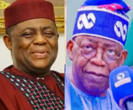 Fani-Kayode Response After Tinubu Said Nigeria Won't Bow To Foreign Agents Trying To Destabilize Nigeria