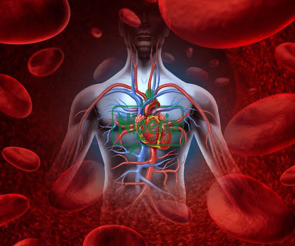 Dangerous Diseases That Are Most Common Amongst People With Blood Type A