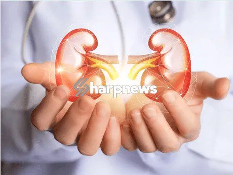 Eight (8) Warning Signs Your Body May Show When Your Kidneys Are at Risk Eight (8) Warning Signs Your Body May Show When Your Kidneys Are at Risk