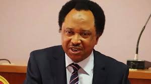 Stop Acting Like Southern Nigeria Is Heaven On Earth While The North Is Hell—Senator Shehu Sani