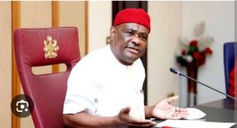 Only someone like Dele Momodu, who does not have knowledge of anything apart from his stomach - Wike