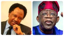 Shehu Sani Reacts As President Tinubu Bans Importation of Foreign Goods to Boost Local Production