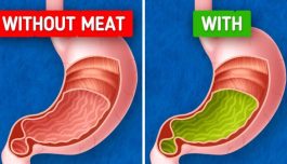 JUST IN: What Might Happen If You Stop Eating Meat Altogether