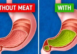 JUST IN: What Might Happen If You Stop Eating Meat Altogether
