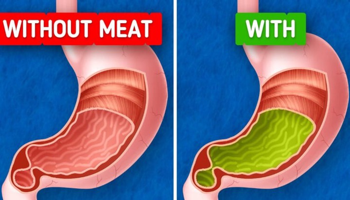JUST IN: What Might Happen If You Stop Eating Meat Altogether