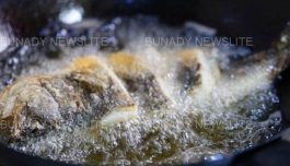 BREAKING: Can fried fish cause heart failure? Here’s what you need to know