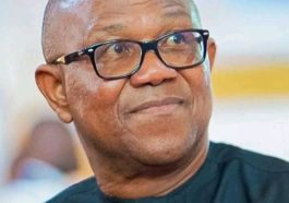 Peter Obi Sets Condition To Lead Or Leave 2027 Alliance