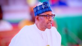Insecurity: Arewa group response to killing of bandit kingpin Kachalla, knocks Buhari