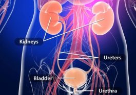 Urinary Tract Diseases Can Be Deadly: Avoid These Three Things To Live Longer