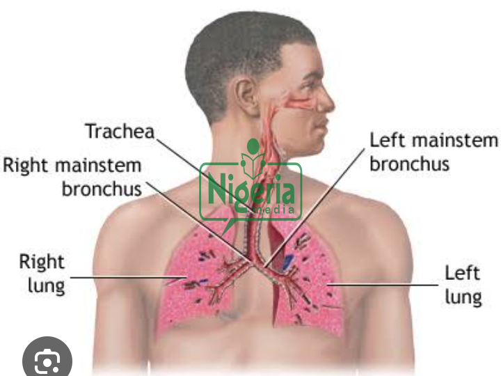 JUST IN: Your Lungs Are Not In Good Condition If You Experience The Following