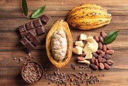 Reason Why You should Drink Cocoa Every Day
