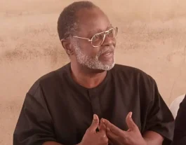 I predicted Tinubu will govern for less than two years, it happened – According to Udenta