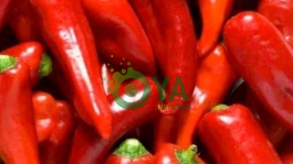 Diseases Cured By Chili Pepper That No One Will Ever Tell You About
