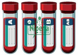 BREAKING: If You Fall In Blood Group O, Avoid These Habits And You Will Live Longer