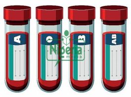 BREAKING: If You Fall In Blood Group O, Avoid These Habits And You Will Live Longer