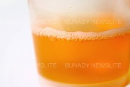 Foamy Urine: If Your Urine Always Foams, Here Are It’s 5 Possible Causes And Foods To Watch Out For