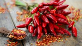 JUST IN: Diseases Cured By Pilipili That No One Will Ever Tell You About (Chili Pepper)