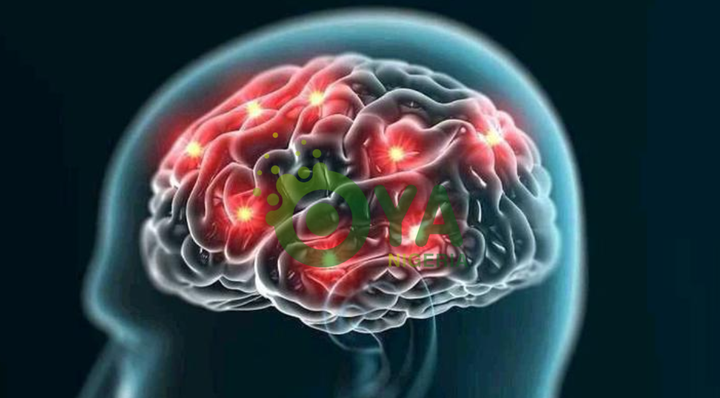 10 (ten) Techniques For Training Your Brain To Remember Almost Anything 10 (ten) Techniques For Training Your Brain To Remember Almost Anything