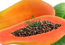 If You Take Pawpaw Seeds, Prepare To Have This Happen To You