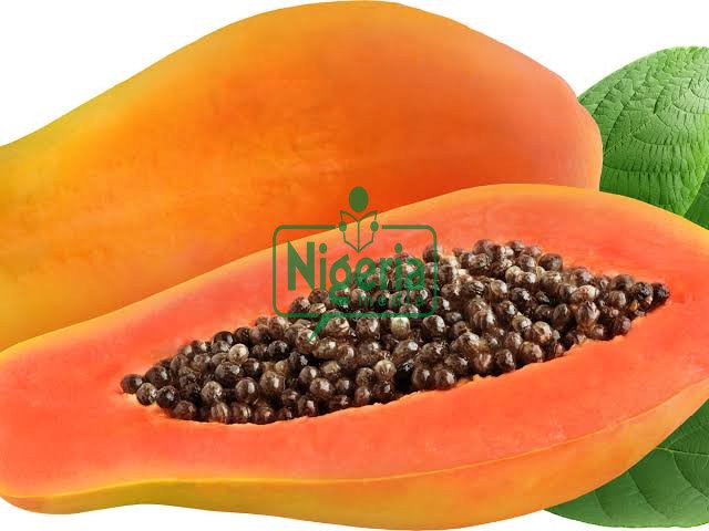 If You Take Pawpaw Seeds, Prepare To Have This Happen To You If You Take Pawpaw Seeds, Prepare To Have This Happen To You