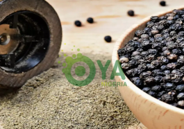 The Effects of Daily Clove Consumption on Your Body
