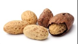 BREAKING: Disease Humans Can Treat By Just Chewing Bitter Kola