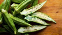 BREAKING: Diseases That Okra Can Help You With