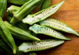 BREAKING: Diseases That Okra Can Help You With