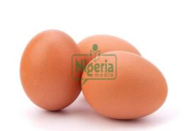 Number Of Eggs Older people Should Eat Daily To Avoid Cholesterol Buildup (JUST IN)