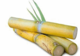 Say Goodbye To These Diseases From Eating Sugarcane Regularly