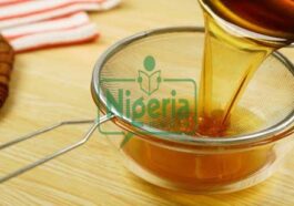 Stop Wasting Money Buying Cooking Oil, Use The Simple Steps To Make Your At Home (MUST SEE)