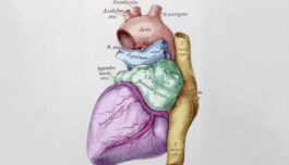 Guard Your Heart Against Heart Failure by Limiting These Three Substances (Discover)