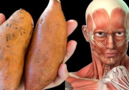 Dangerous Things That Happens To Your Body When You Eat Sweet Potatoes