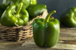 BREAKING: Health Benefits Of Green Peppers That Many People May Not Be Aware Of