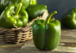 BREAKING: Health Benefits Of Green Peppers That Many People May Not Be Aware Of