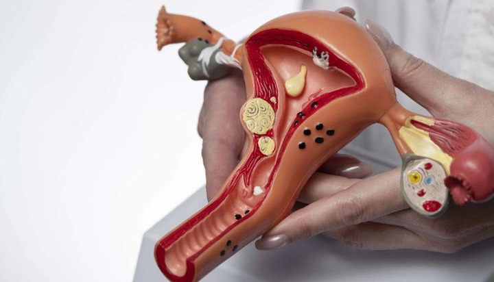 Causes for Women Being Born with Male Reproductive Anatomy (JUST-IN)
