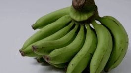 BREAKING: To Get These Health Benefits, Boil Green Bananas and Drink the Liquid for A Week