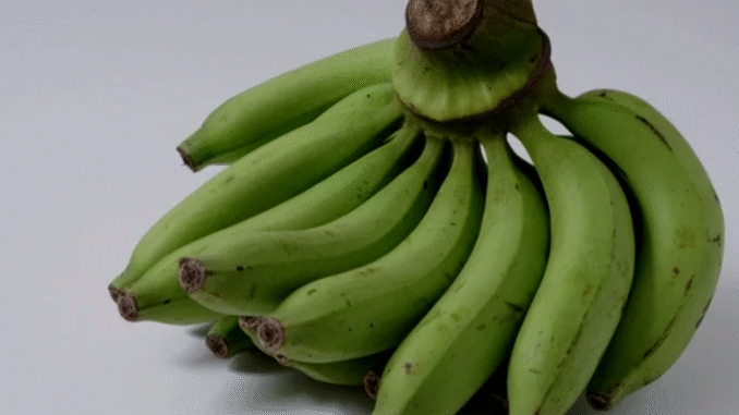 BREAKING: To Get These Health Benefits, Boil Green Bananas and Drink the Liquid for A Week