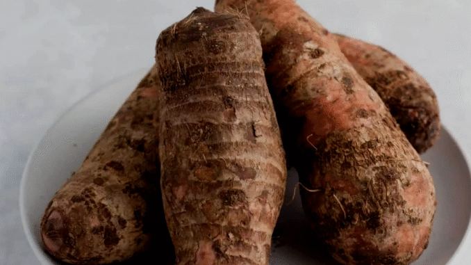 BREAKING: Six Diseases You Never Knew Coco Yam Can Help Prevent BREAKING: Six Diseases You Never Knew Coco Yam Can Help Prevent