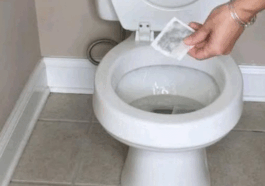 BREAKING: Do not throw away your tea bags rather use them for these hacks