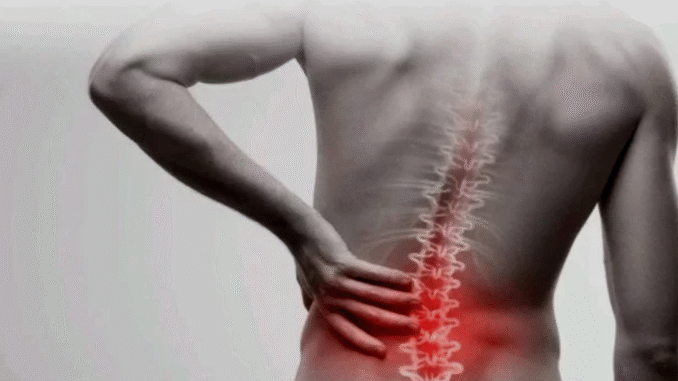 BREAKING: Fruits You Should Consume Frequently to Reduce Back Pain BREAKING: Fruits You Should Consume Frequently to Reduce Back Pain