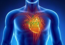BREAKING: 5 Symptoms That Appear Before The Heart Veins Get Blocked