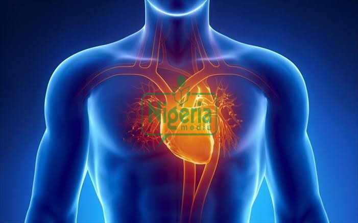 BREAKING: 5 Symptoms That Appear Before The Heart Veins Get Blocked