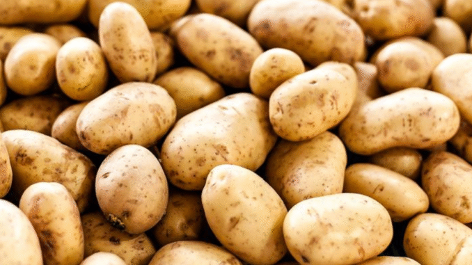 These “Healthy” Foods Are Rotting Your Teeth: Eat This Instead (DETAILS) These “Healthy” Foods Are Rotting Your Teeth: Eat This Instead (DETAILS)
